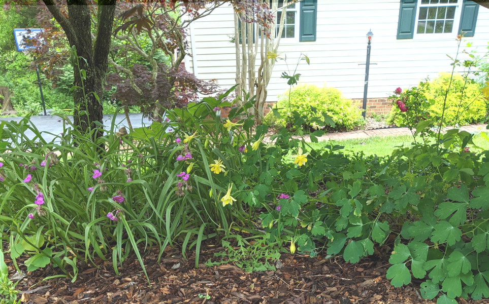 Summer weeding