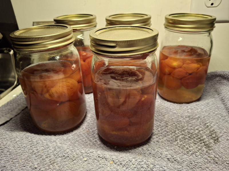 Help this week with canning tomatoes. I dont think the first batch turned out right ☹️